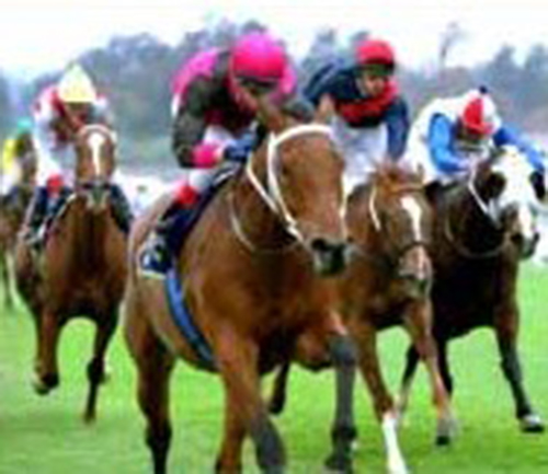 Video Horse Races performing at a Florida event