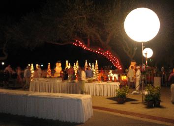 WASH Lighting (Uplights)
