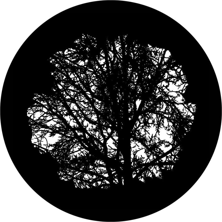 Gobo Lighting