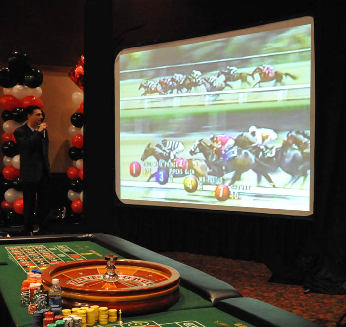 Projection Screens
