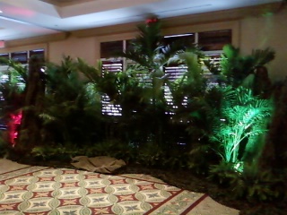Trees & Tropics
