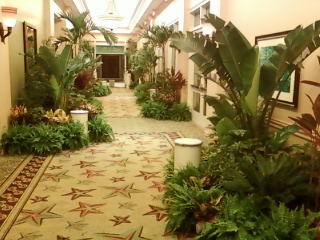 Trees & Tropics