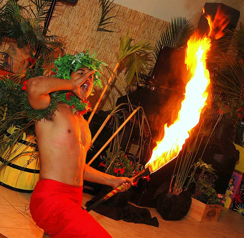 Hawaiian Luau Theme