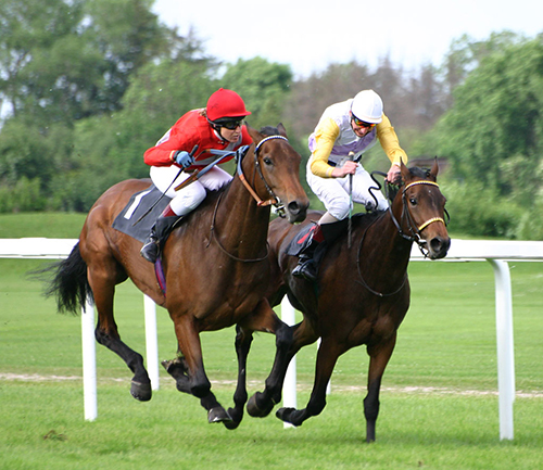 Photo-Finish Horse Races! photo 3