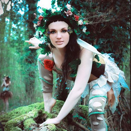 Enchanted Forest photo 7