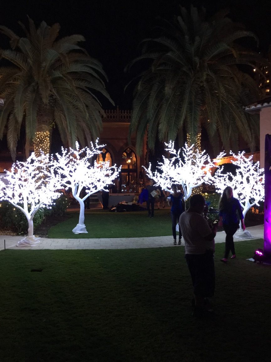 Enchanted Forest photo 12