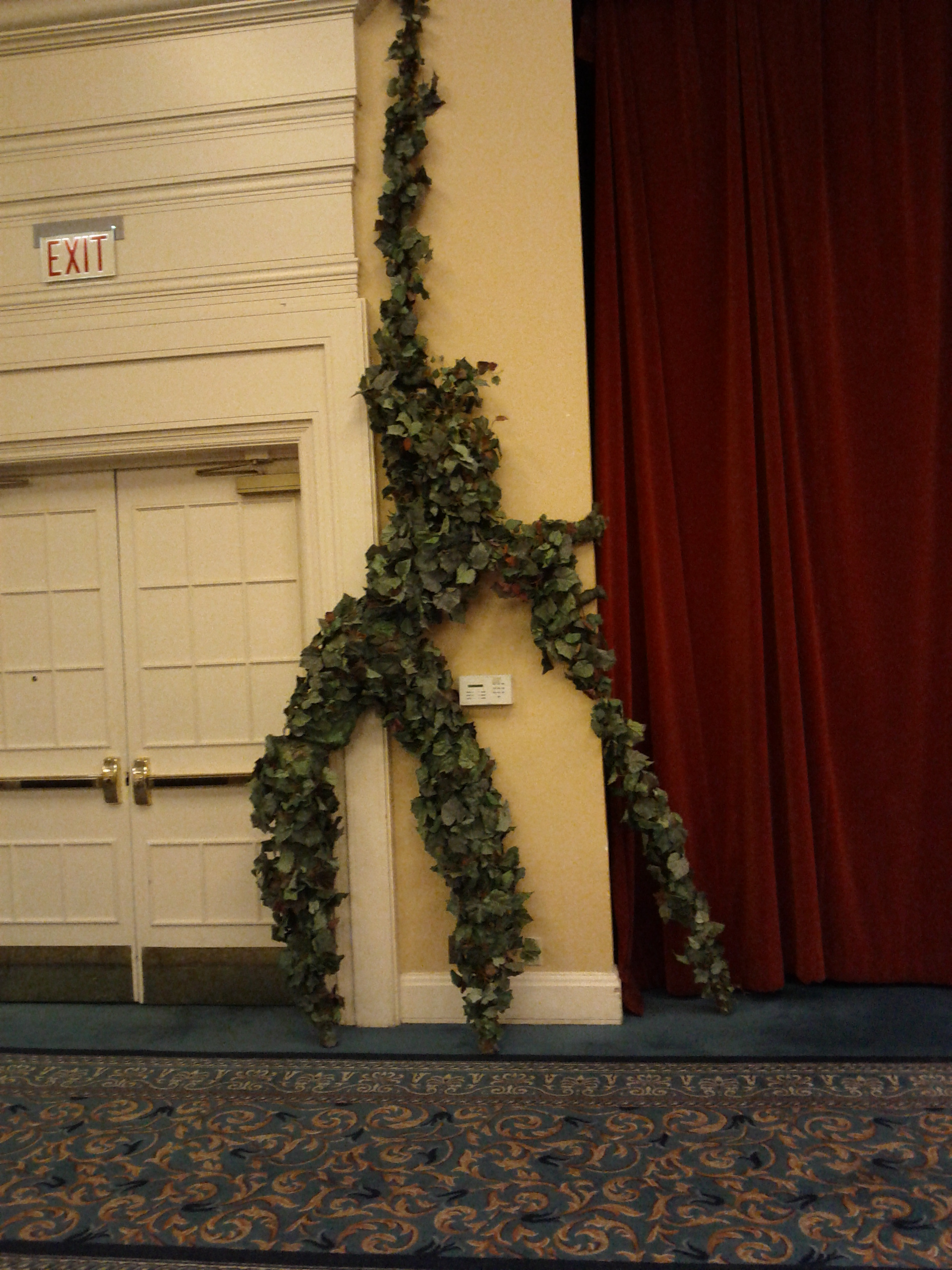 Enchanted Forest photo 14