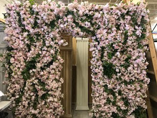 Enchanted Forest photo 18