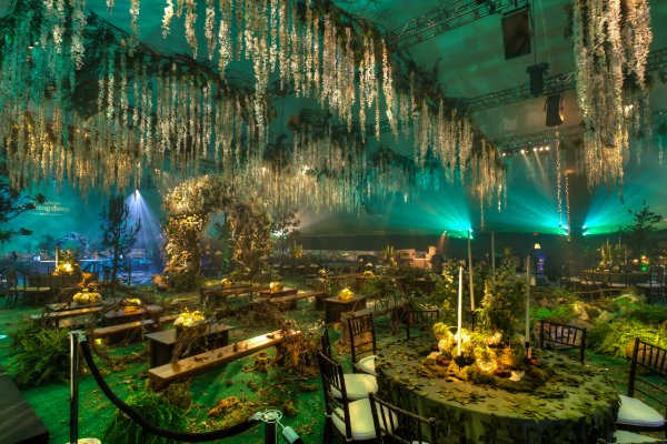 Enchanted Forest photo 19