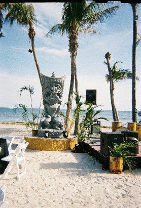 Polynesian Luau Party photo 15
