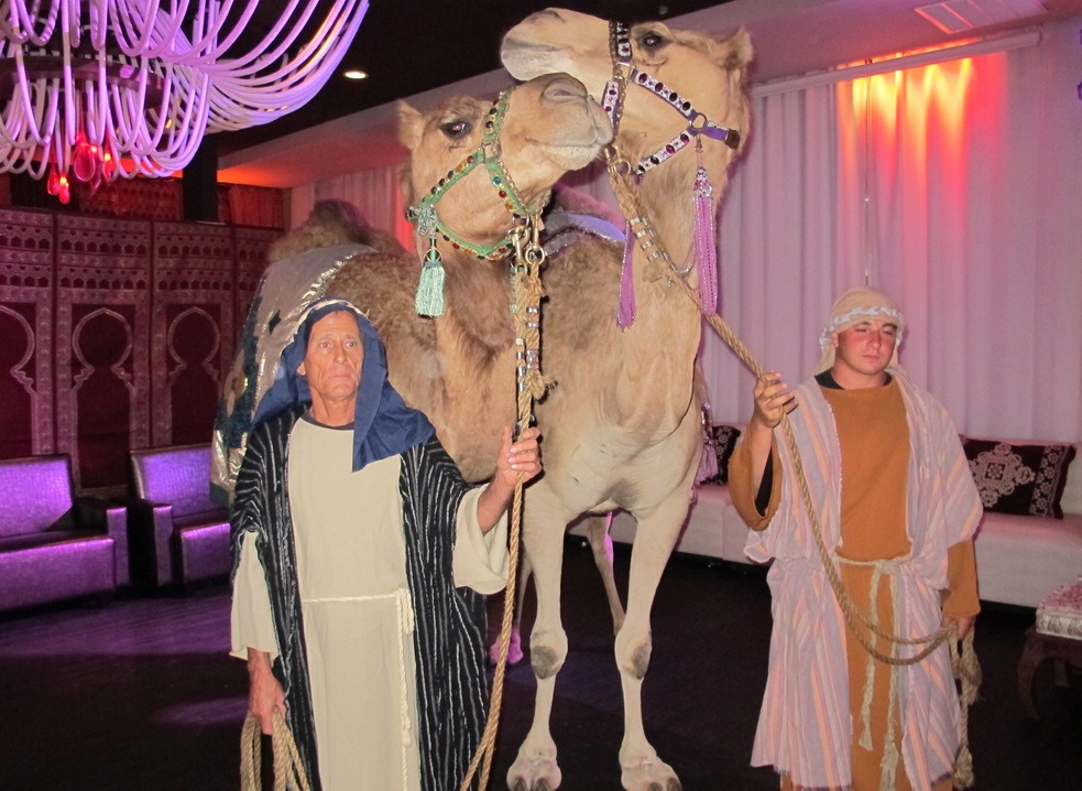 A Night In Morocco photo 20