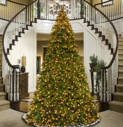 Christmas Theme Holiday Party photo 2